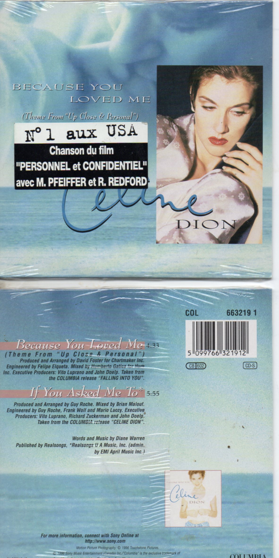 Celine DION - Soundtrack up close & personal - Because You Loved Me French Sticker 2-track Card Sleeve